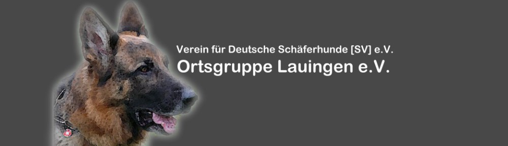 Schäferhundeverein OG Lauingen